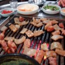마포주먹고기 Daum카페