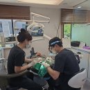 제이엘베스트치과의원 | 인계동 임플란트 치과 여기가 베스트입니다