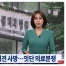 여의도 동물병원 이미지