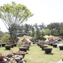 샛별글램핑 이미지