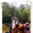 성당새마을금고앞 이미지