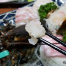 센다이참치 이미지