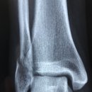 미드라쉬정형외과의원 이미지