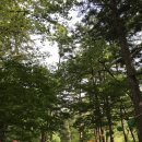 그꽃길 | [부안, 순천 1박2일_1일차] 내소사, 곰소염전, 슬지제빵소, 개암사, 반계선생 유허지, 채석강‧적벽강...