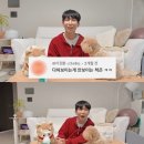 한솔 스타뉴스