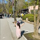 [과천] 4세·8세 아이들과 봄나들이! 서울대공원 동물원 하루 코스 완벽 후기