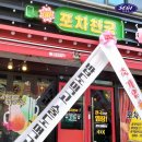 포차천국 Daum카페