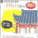 세무회계푸른