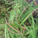 수락영당 이미지