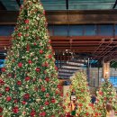 봉서산로 | 파주 맛집 크리스마스 트리가 예쁜 대형카페 바리루스 후기