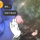 화화 이미지