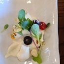 디새농원 이미지