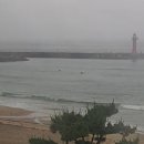 홍영애숯불갈비 이미지