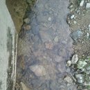 전원오토캠핑장 이미지