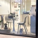 끌레르독 이미지