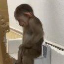 뉴블랙PC방 비전점 | 2025년이 끝났다고? 난 모르는 일