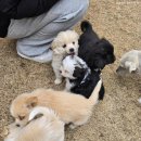 명촌길천로 이미지