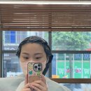 데이지(Dayzi) 이미지