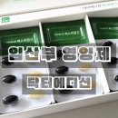 퍼스트맘닥터 | 임산부 영양제 닥터에디션 퍼스트맘 2 내돈내산 솔직후기