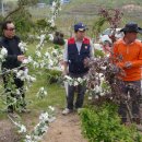 김상환농장 이미지