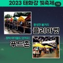 태화강 빛 축제 이미지