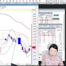 에스씨아이씨 이미지