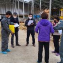 순천-35호 이미지