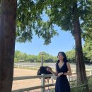 예산목장 이미지