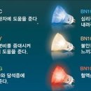 LED 전구로 식당 음식 잡 냄새 제거, 담배 연기 제거, 미세 먼지 제거 , 탈취효과, 공기청정, 곰팡이 살균, 항균, 새집증후군, 음식냄새 제거, 음이온 LED 램프 이미지