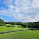 이시돌영농조합법인 이미지