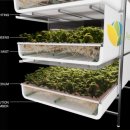 팜스테크 이미지