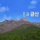 남해-100 이미지