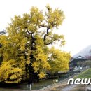 영국사 이미지
