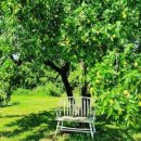 새일농장 이미지