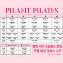 바디채널핏 독산점 | 기구, 머신 소개 | 괴정동 필라테스 헬스장 | 필라핏헬스바디