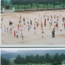 협신초등학교 이미지