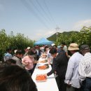 진도체리원 이미지