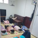 동소문동경로당 Daum카페