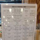 O.K 동물병원 | 강아지 고관절 슬개골 수술 고민, 장재영 외과 동물병원