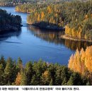 장미별장여관 이미지