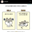 외항중기 | | 임신 8-9주 | 입덧지옥, 호르몬의 노예, 속옷변경