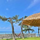 쉼표고성2 이미지