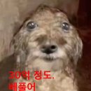 도기부기 | 7월달 일을 내가 어 떻 게 기억하냐고