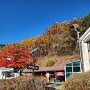 청평역관광안내소 | 가평글램핑 가평카라반 추천 부모님과 효도관광 왔어요! 가평명지산카라반글램핑