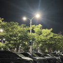 (주)블루스파 | 다낭 호이안 여행_ 블루기프트스파 후기, 호로콴 (내돈내산)