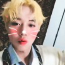 포카