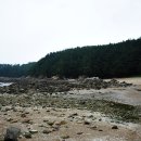 꾸지나무골해수욕장 이미지