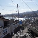 동쪽바다중앙시장상인회 이미지