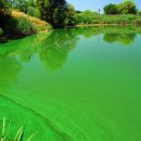 금강페인트 이미지