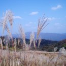 [펌] 명성산 후기입니다~♪
